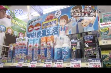 BSN Hyperthermia Norio 2012