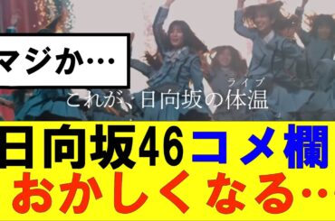 【日向坂46】YouTubeのコメ欄がなんだかおかしなことに…#日向坂46#hinatazaka46 #日向坂で会いましょう #齊藤京子#ひなくり#小坂菜緒 #金村美玖 #おひさま #潮紗理菜