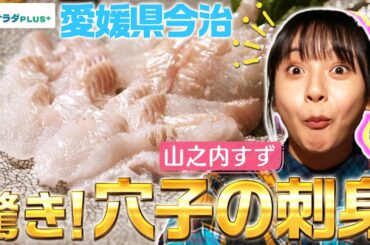 【山之内すずin愛媛】今治の名物！驚きの”穴子の刺身”を堪能！〈ロコレコ！〉