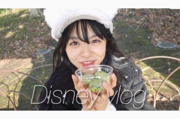 【vlog】友達とディズニーシーに行ったよ🚢🗺【2019年12月版】