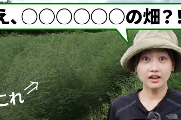 え、〇〇〇〇〇〇の畑⁈/高田秋の農業プロジェクト