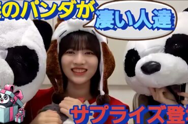 活動を再開した！林瑠奈の配信にサプライズ登場する謎のパンダ