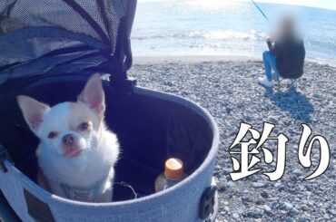 テントを組み立てられない飼い主と釣りに来ました