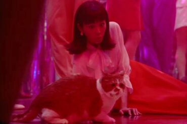 桐谷美玲とふてニャンが1980の時代へ 120人のボディコンギャルが踊る！Y!mobile 新ＣＭ「1980SHOCK」シリーズ 「タイムスリップ」篇