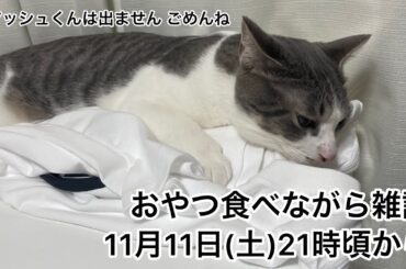 【第10回生配信】おやつ食べながら雑談【佐々木琴子】