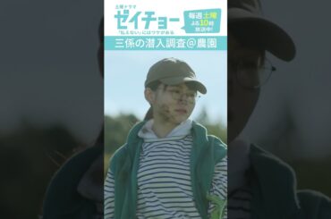「三係の潜入調査＠農園」　#ゼイチョー #菊池風磨 #山田杏奈 #shorts