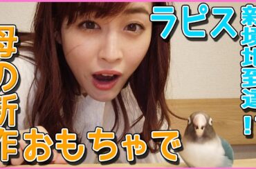【必見】奇跡的なすごい瞬間撮れちゃった！　恵理那とラピスの部屋#6