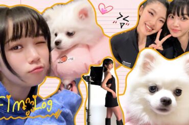 [FIM-LOG] 채원 브이로그 #5 l 멍멍❗️🐾 귀염뽀짝 채채의 동생 시로🐶와 함께하는 우당탕탕 어버이날💝