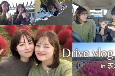 【Vlog】莉子と国営ひたち海浜公園に行ってきた🚗【ドライブ】