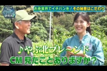 『カンニング竹山のイチバン研究所』でハラダ製茶が紹介されました！