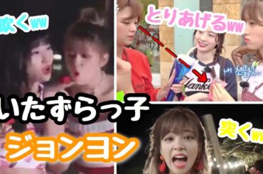 【TWICE】ジョンヨンのいたずらが幼稚すぎて可愛い！