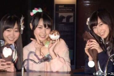 【TNS動画ニュース】TOKYO FM「高柳明音（SKE48）の暗黙の了解」ラジオ公開録音イベント