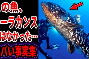 【総集編】シーラカンスは絶滅していた…眠れないほど面白い古代生物のヤバい事実と謎【ゆっくり解説】【生きた化石】