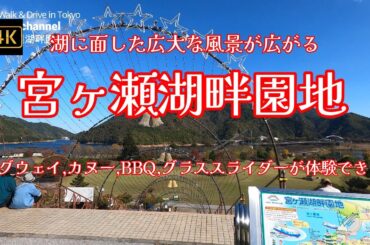 4K【宮ヶ瀬湖畔園地】【湖に面した広大な風景が広がる】【セグウェイ、カヌー、Eボート、BBQ、グラススライダーが体験できる】【🎄30ｍ越えのもみの木や大吊橋イルミネーション準備中】【鹿や猿の生息地】