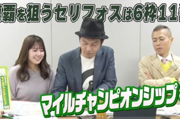 連覇を狙うセリフォスは6枠11番！ 4年ぶりに京都が舞台！秋のマイル王決定戦『第40回 マイルCS（GI）』をガチ予想