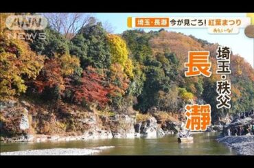 水上から神社から…秩父・長瀞の紅葉は今が見頃！絶品“紅葉グルメ”も【あらいーな】(2023年11月20日)