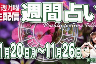 【週刊占い11月20日〜26日】太陽と火星が射手座入り、牡羊座、獅子座、射手座どうなる？！22日海王星タイム、25日関係修復、26日新しく刺激的な事