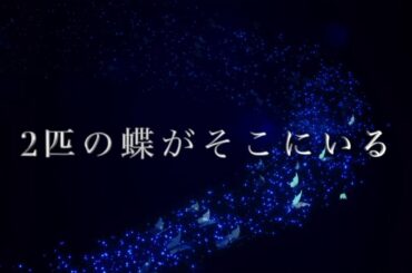 青学オンライン2023公開  法学部大石ゼミによる法廷劇「2匹の蝶がそこにいる」