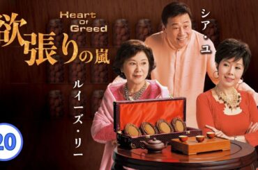 日本語字幕付き｜中国ドラマ(ホームドラマ)｜20/40欲張りの嵐