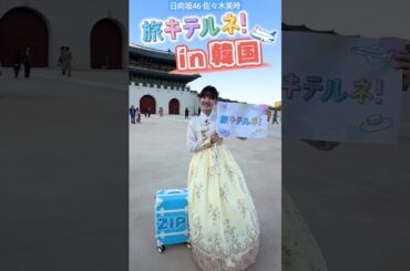 日向坂46 佐々木美玲 キテルネ！ 明日11月22日は 旅キテルネ！in 韓国 ZIP!