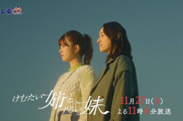 ドラマプレミア23『けむたい姉とずるい妹』第8話 | テレビ東京