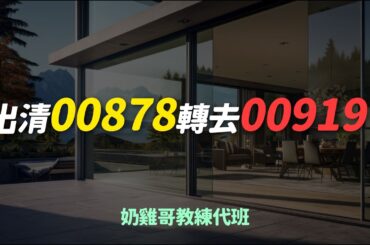 00878遭三大法人狂賣「逾17萬張」該出清00878轉去00919嗎？ETF 存股 定期定額 股票