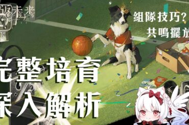 【重返未來1999】皮克勒斯詳細解析 1.1下半池常駐UP 共鳴擺法?心相/組隊/共鳴/運作/洞悉全解析【天使Vtuber小雪Yukichan】#Reverse1999 #重返未來1999 #皮克勒斯