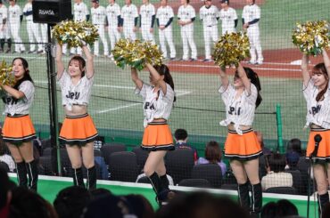 （ヴィーナス）アジアプロ野球チャンピオンシップ 2023  日本応援ステージシート