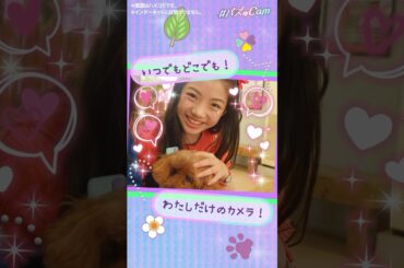 【75】Vlogカメラ型トイが新登場✨「わんこ🐶」｜セガトイズ #バズゅCam #Vlogカメラ #クリスマスプレゼント