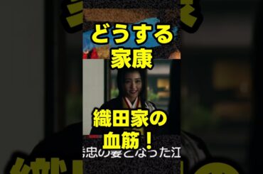 【どうする家康】ネタバレ考察大河ドラマ最新感想 豊臣秀頼と千姫はいとこ！お市の方の血筋がすごい。第43回2023年11月19日放送解説