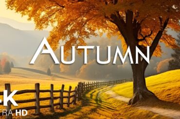 Enchanting Autumn Forests with Beautiful Piano Music🍁4K Autumn Ambience & Fall Foliage
