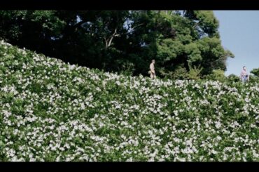 福原遥×水上恒司W主演『あの花が咲く丘で、君とまた出会えたら。』本編映像