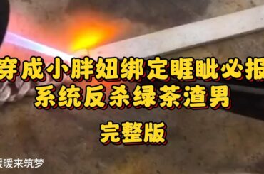 （完整版）我穿到了一个200斤的小胖妞身上。还绑定了睚眦必报系统。别人打我一拳，我必须还回去十拳
