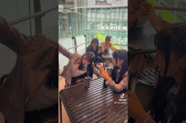 【アイドル】切り替えの早いひき肉ガール #リンプラ