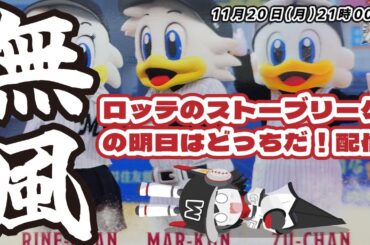 【補強は⁉】ロッテストーブリーグの明日はどっちだ配信！ 新戦力補強の最前線を語る！
