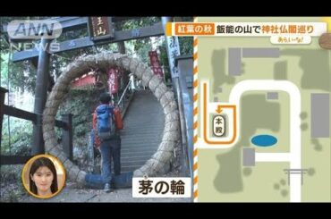 巨大オブジェの寺…2t草履や巨大ハイヒール　埼玉・飯能で低山歩き後編【あらいーな】(2023年11月22日)