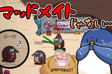 【Among Us】ペンギン見分けつかねぇだろｗｗｗｗｗ