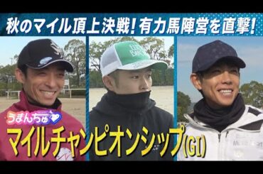 【川田将雅騎手＆西村淳也騎手＆北村友一騎手を直撃】予想に役立つ㊙ネタ満載！＜マイルチャンピオンシップ（GⅠ）＞