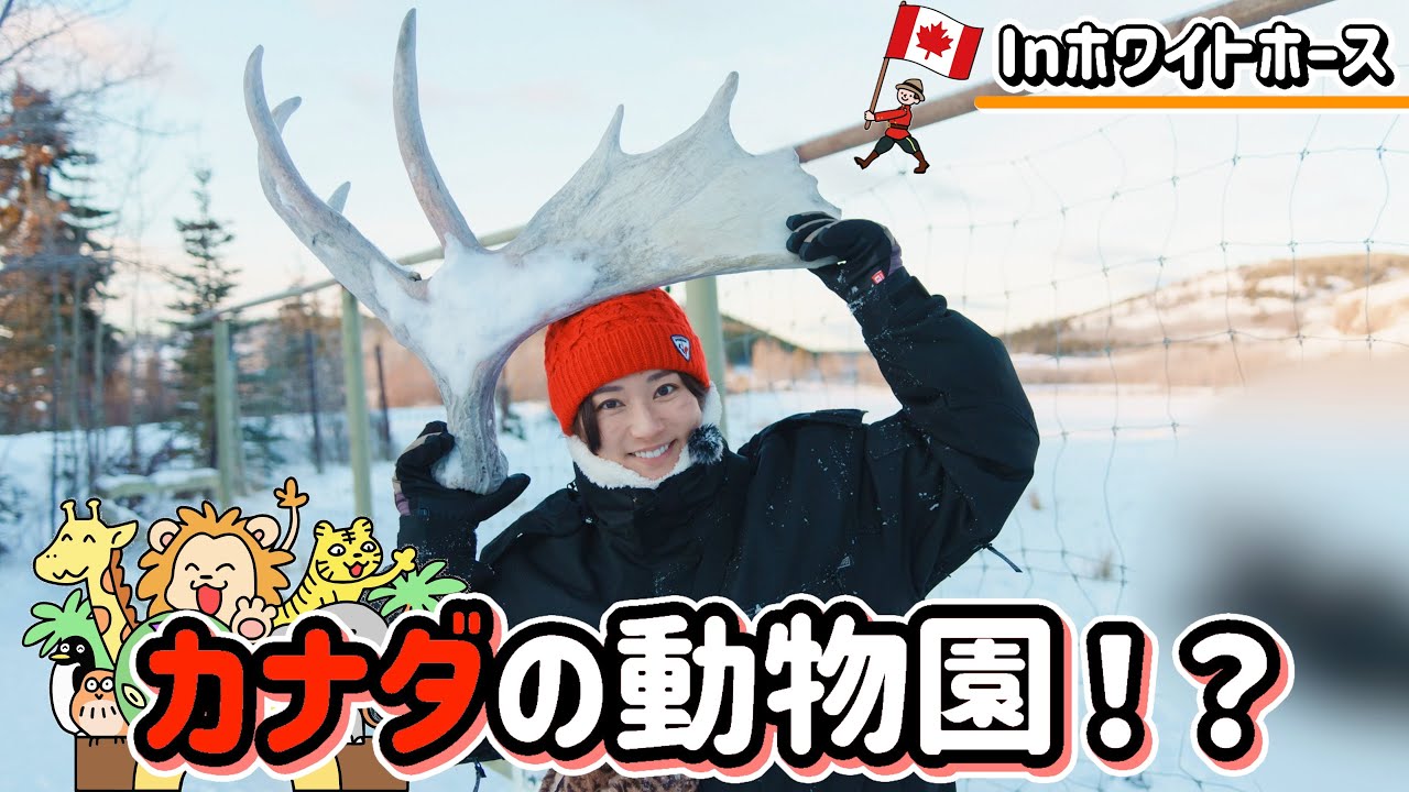 カナダでまさかの人助け カナダでまさかの人助け