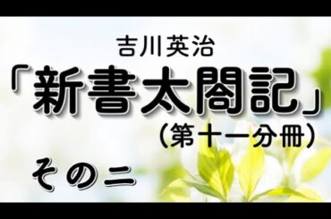 【字幕付き朗読】「新書太閤記（第十一分冊）その二」吉川英治（青空文庫）