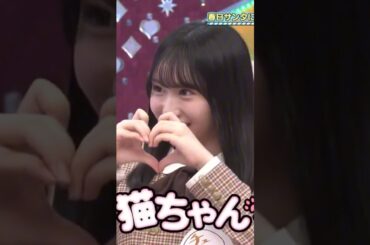 【日向坂46】ニャンダハート♡ #日向坂46 #小西夏菜実 #渡辺莉奈 #東村芽依 #藤嶌果歩 #オチの潮 #猫 #こ⤴︎ぶ⤵︎