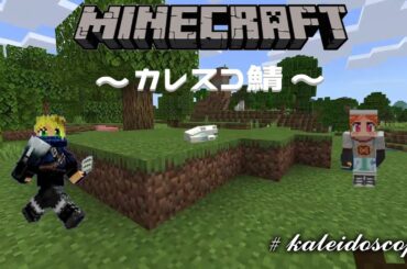 [MineCraft]  カレスコサーバー 4人で建築回
