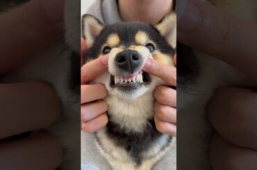 曼玉Manyu沉浸式助眠Spa ASMR