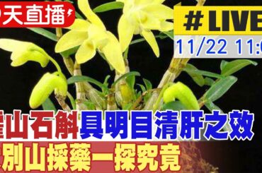 【中天直播#LIVE】霍山石斛具明目清肝之效 大別山採藥一探究竟 20231122 @Global_Vision