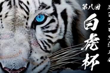 【麻雀】第８回　白虎杯　関西プロ交流戦【ヴェストワンカップ先行プロ予選】