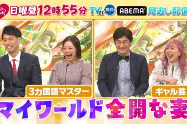 「新婚さんいらっしゃい！」11月26日（日）ひる放送！
