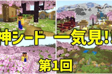 【神シード4選 一気見：第1回】マイクラ統合版1.20神シード！4つのシードを紹介。寝落ち、ながら見にも最適！(初心者向け, ゲーム実況, Switch, ならクラ,  ならばね)