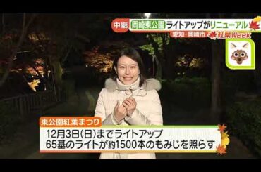 1500本のもみじを照らす　岡崎東公園で紅葉ライトアップ始まる　愛知県
