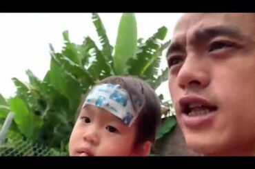 Lợn Rừng Thái Nguyên | Lợn rừng làm giàu: Cơ hội và thách thức