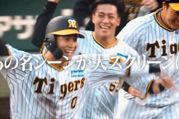 阪神タイガース、悲願のリーグ制覇&日本一！アレが現実に／映画『阪神タイガース THE MOVIE2023 -栄光のARE-』ティザー予告編